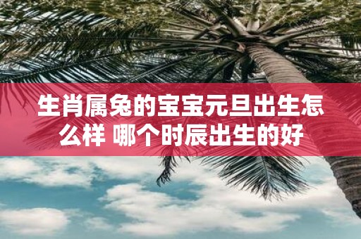 生肖属兔的宝宝元旦出生怎么样 哪个时辰出生的好
