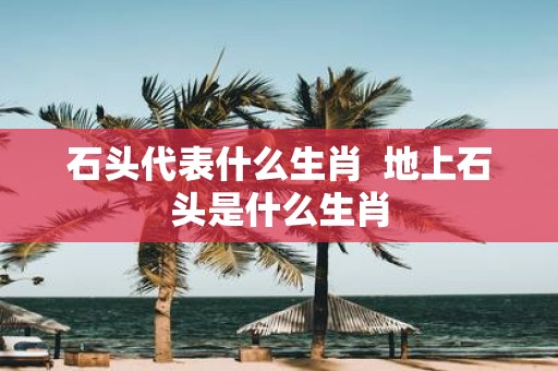 石头代表什么生肖 地上石头是什么生肖