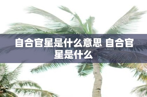 自合官星是什么意思 自合官星是什么