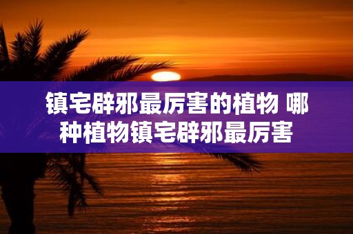 镇宅辟邪最厉害的植物 哪种植物镇宅辟邪最厉害