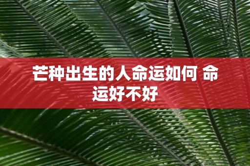 芒种出生的人命运如何 命运好不好