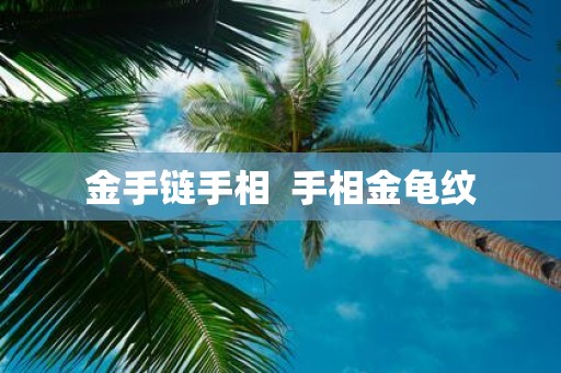 金手链手相 手相金龟纹