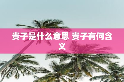 贵子是什么意思 贵子有何含义