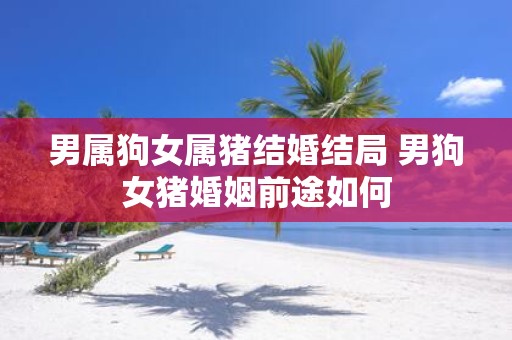 男属狗女属猪结婚结局 男狗女猪婚姻前途如何