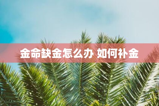 金命缺金怎么办 如何补金