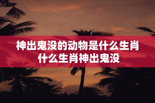 神出鬼没的动物是什么生肖 什么生肖神出鬼没