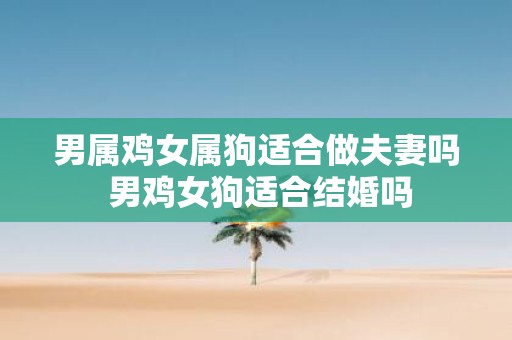 男属鸡女属狗适合做夫妻吗 男鸡女狗适合结婚吗