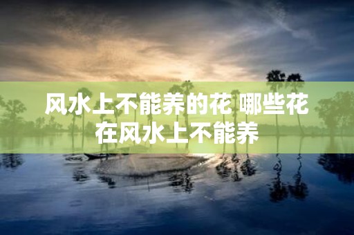 风水上不能养的花 哪些花在风水上不能养