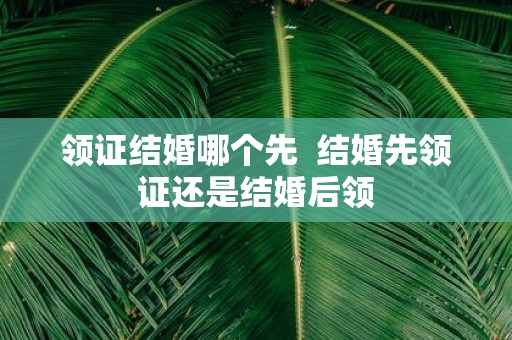 领证结婚哪个先 结婚先领证还是结婚后领