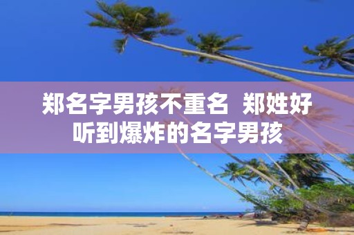 郑名字男孩不重名 郑姓好听到爆炸的名字男孩