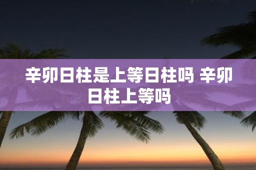 辛卯日柱是上等日柱吗 辛卯日柱上等吗