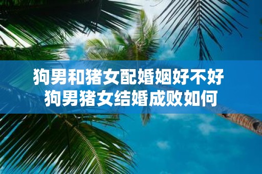 狗男和猪女配婚姻好不好 狗男猪女结婚成败如何