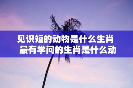 见识短的动物是什么生肖 最有学问的生肖是什么动物