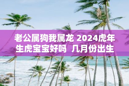 老公属狗我属龙 2025虎年生虎宝宝好吗 几月份出生虎宝宝不好