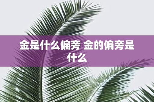 金是什么偏旁 金的偏旁是什么