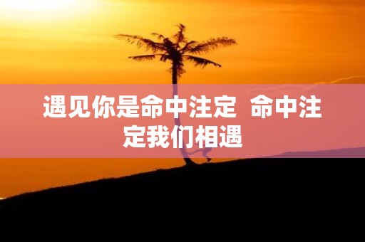 遇见你是命中注定 命中注定我们相遇