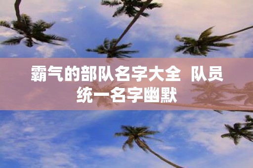 霸气的部队名字大全 队员统一名字幽默