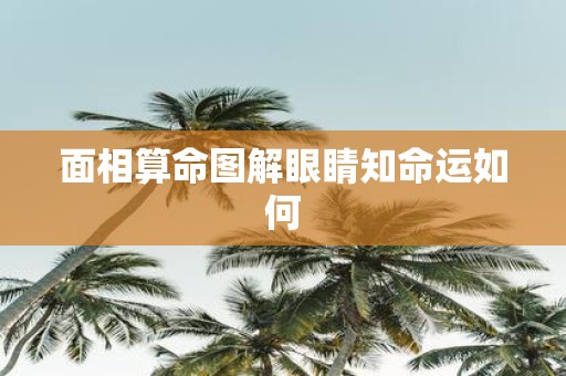 面相算命图解眼睛知命运如何