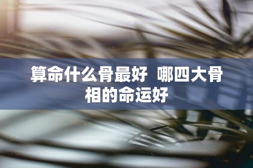 算命什么骨最好 哪四大骨相的命运好