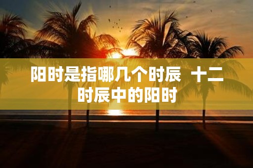 阳时是指哪几个时辰 十二时辰中的阳时