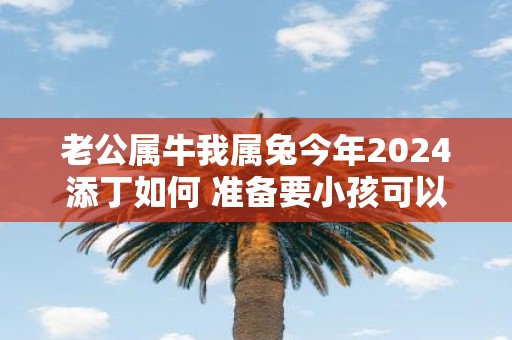 老公属牛我属兔今年2025添丁如何 准备要小孩可以不