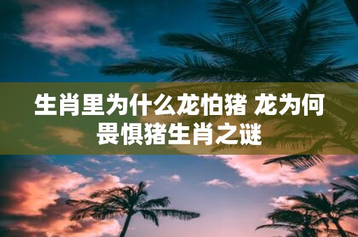生肖里为什么龙怕猪 龙为何畏惧猪生肖之谜
