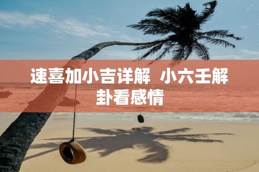 速喜加小吉详解 小六壬解卦看感情