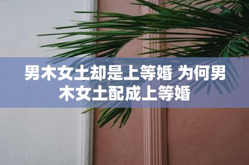 男木女土却是上等婚 为何男木女土配成上等婚