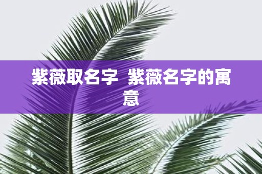 紫薇取名字 紫薇名字的寓意