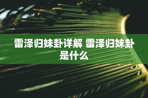 雷泽归妹卦详解 雷泽归妹卦是什么