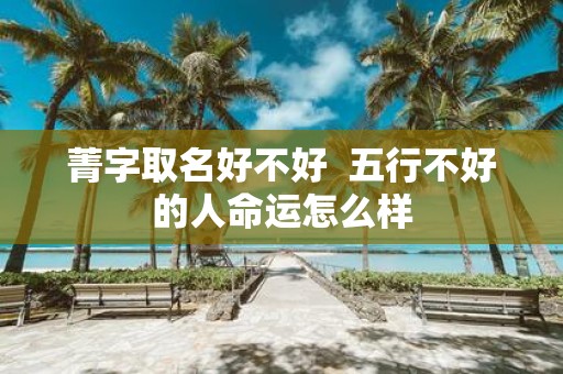 菁字取名好不好 五行不好的人命运怎么样