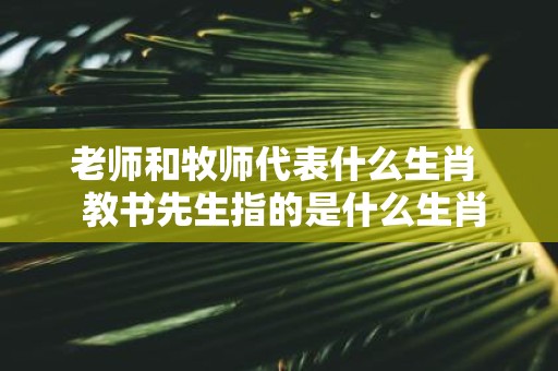 老师和牧师代表什么生肖 教书先生指的是什么生肖