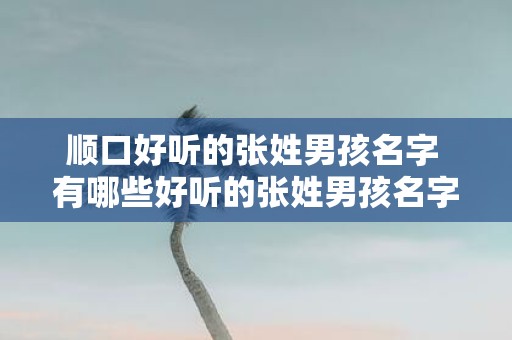 顺口好听的张姓男孩名字 有哪些好听的张姓男孩名字