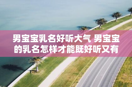 男宝宝乳名好听大气 男宝宝的乳名怎样才能既好听又有气质