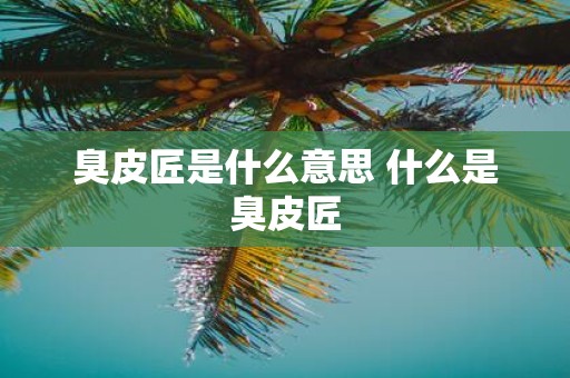 臭皮匠是什么意思 什么是臭皮匠