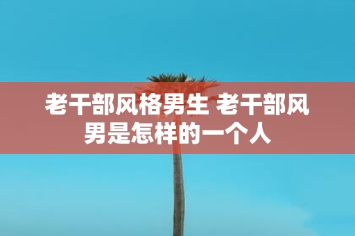 老干部风格男生 老干部风男是怎样的一个人
