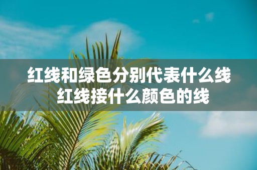 红线和绿色分别代表什么线 红线接什么颜色的线