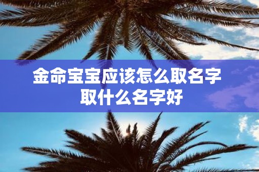 金命宝宝应该怎么取名字 取什么名字好