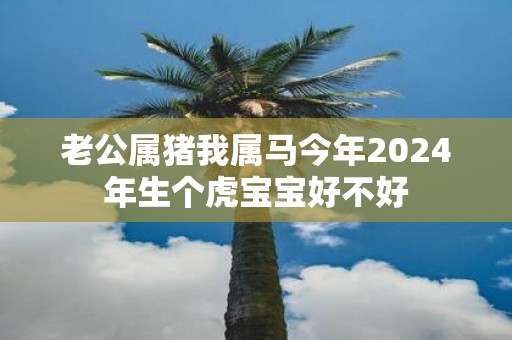 老公属猪我属马今年2025年生个虎宝宝好不好