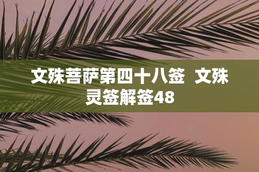 文殊菩萨第四十八签 文殊灵签解签48