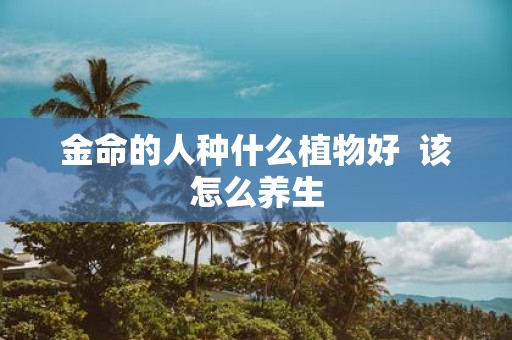 金命的人种什么植物好 该怎么养生