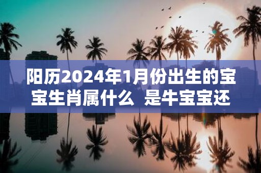 阳历2025年1月份出生的宝宝生肖属什么 是牛宝宝还是虎宝宝