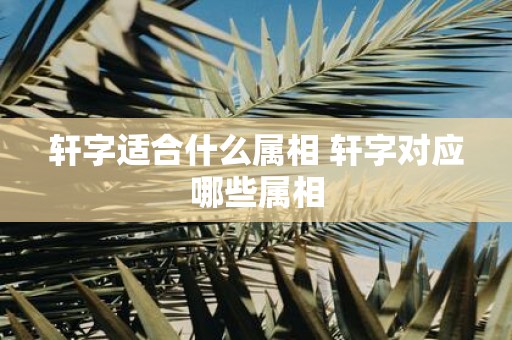 轩字适合什么属相 轩字对应哪些属相