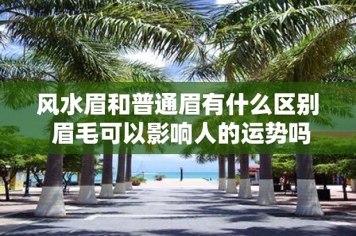 风水眉和普通眉有什么区别 眉毛可以影响人的运势吗