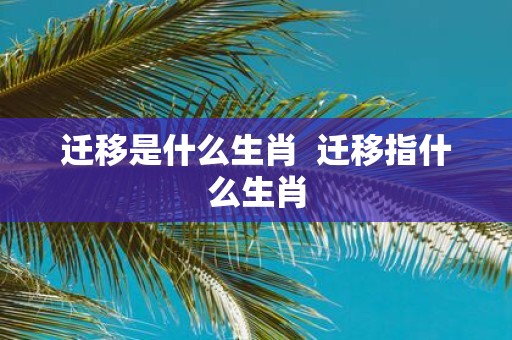 迁移是什么生肖 迁移指什么生肖