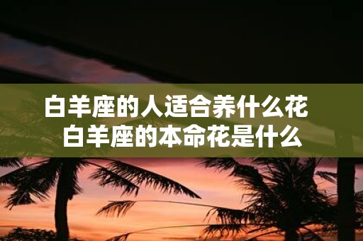 白羊座的人适合养什么花 白羊座的本命花是什么