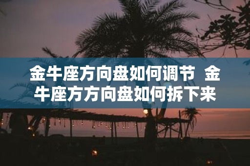 金牛座方向盘如何调节 金牛座方方向盘如何拆下来