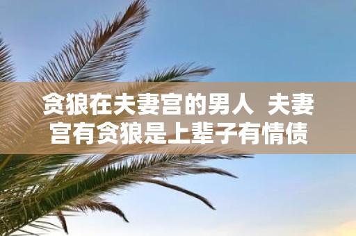 贪狼在夫妻宫的男人 夫妻宫有贪狼是上辈子有情债