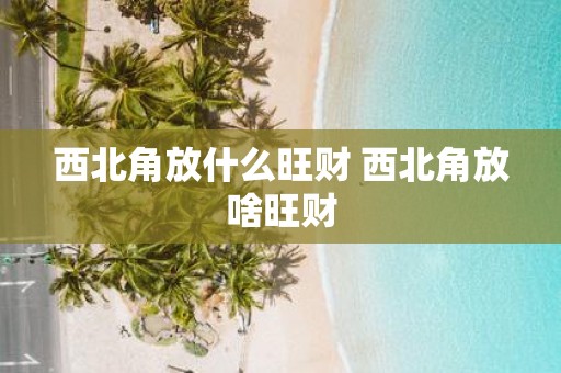 西北角放什么旺财 西北角放啥旺财