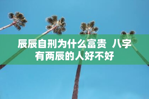 辰辰自刑为什么富贵 八字有两辰的人好不好
